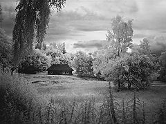photo "***"