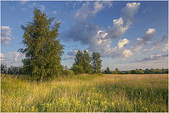 photo "***"