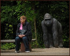 photo "what do you say?"