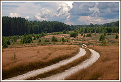 photo "Long and winding..."