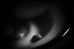 photo "***"