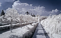 photo "***"