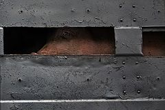 фото "Последнее путешествие"