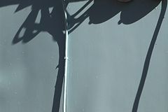photo "***"