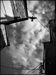 photo "***"