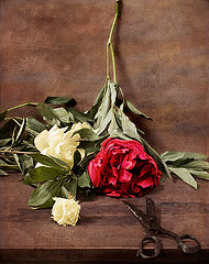 photo "***"
