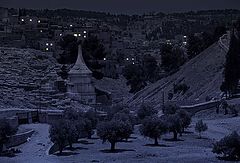 photo "***"