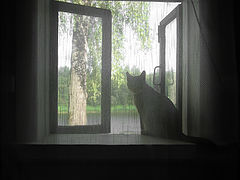 фото "Уходя, уходи."