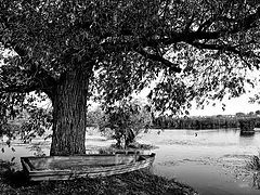 photo "***"