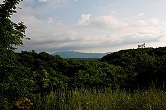 photo "***"