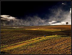 фото "watching the flock"