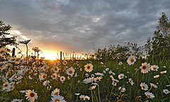 photo "***"