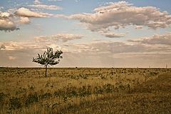 photo "***"