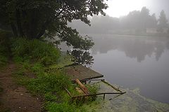 фото "В тумане."