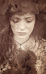 photo "y"