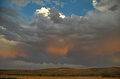photo "***"