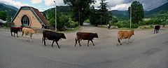 фото "Домой..."