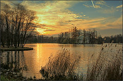 photo "***"
