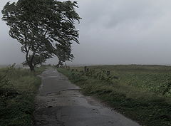 photo "Autumn come soon"