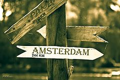 фото "Amsterdam_244km"