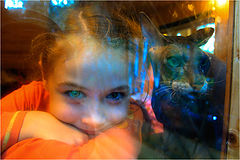фото "Марта & cat"