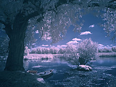 photo "***"