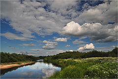 фото "Летний день"