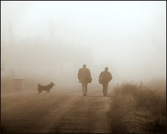 photo "Foggy perspectives ..."