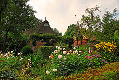 photo "the old farmhousegarden"