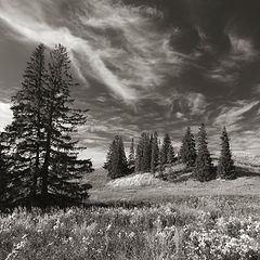 photo "***"