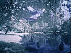 photo "***"