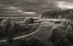 photo "***"