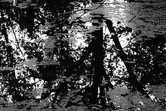 фото "***"