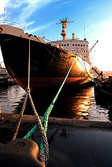 фото "старичок."
