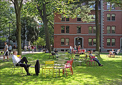 photo "Studying in Harvard"