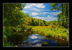 photo "Beaver country"
