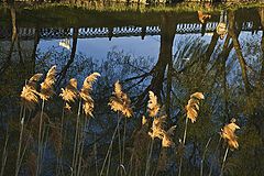 фото "Городские ...(...отражения)"