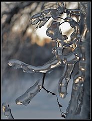 photo "Ice Forms"