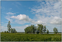 фото "Середина лета"