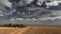 photo "***"