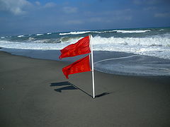 photo "My friend is a revolutionary wind"