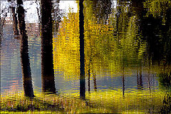 photo "Mirage autumn"