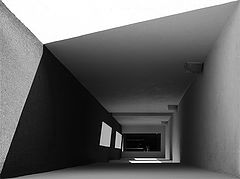 фото "*"