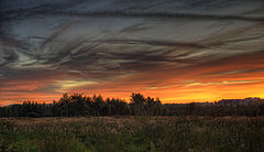 фото "..."