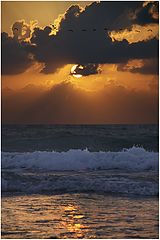 photo "sunset today"