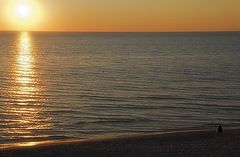 photo "Evening loneliness"