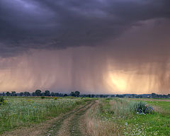 фото "..."