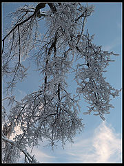 photo "Ice Forms"