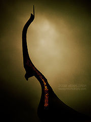 photo "Thailand Temple"