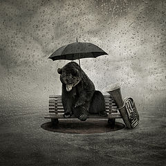 photo "Lonely song"